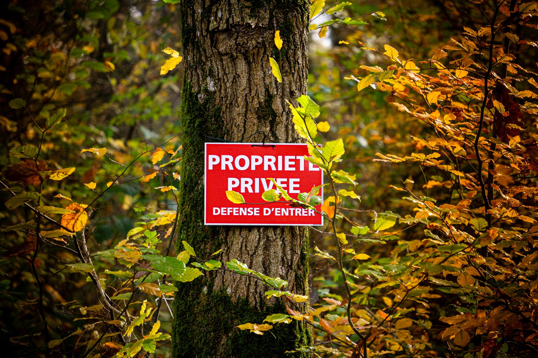 Détective privé à Bondy